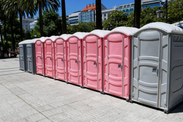 Best Portable Toilets for Parks and Recreation Areas  in Windsor, NC